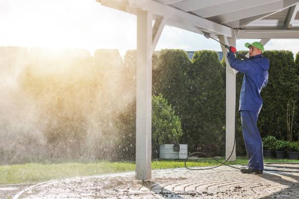 Best Gutter Cleaning and Brightening in Chico, TX