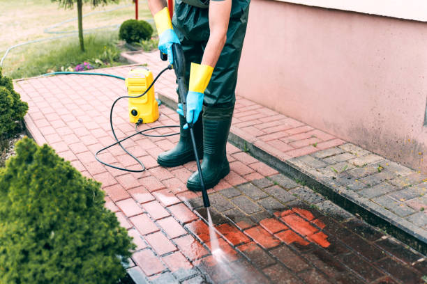 Best Window and Screen Pressure Cleaning in Chico, TX